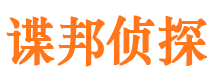 柳南市私家侦探